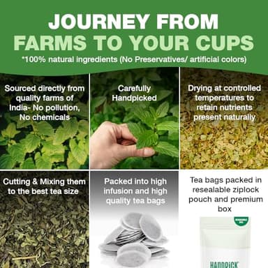 HANDPICK Lemon Balm Tea Bags – 100 Count | 100% Pure & Naturally Dried | Caffeine-Free Herbal Tea with Citrus Flavor & Aroma | Premium Lemon Balm Leaf for Calming and Digestion Support - Image 7