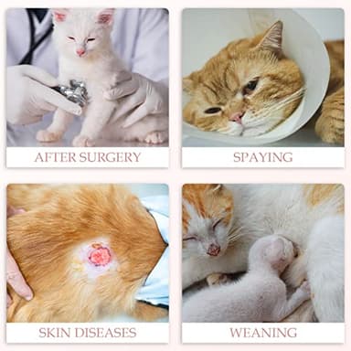 ANWA Cat Recovery Suit, Breathable Cat Onesie After Surgery, Kitten Surgery Recovery Suit, Female Abdominal Wounds - Image 6