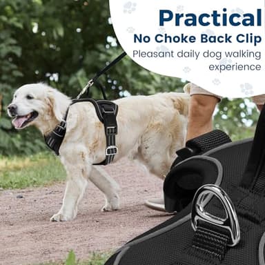 Funfox Dog Harness No Pull, Adjustable Pet Vest Harness, Super Soft Material with Vertical Handle Easy Control, Reflective Night Walking, 2 Leash Clips for Medium Sized Dogs, Black, M - Image 4