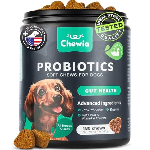 Probiotics for Dogs Gut Health, Digestion, Immunity, Yeast Balance, Itchy Skin, Allergies Support - Dog Probiotic Chews with Digestive Enzymes for Gut Flora- Soft Treats with Pumpkin and Yeast Powder - Image 1
