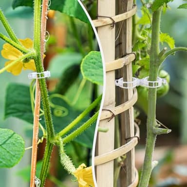 Ghguole 300 pcs Plant Clips for Climbing Plants, Tomato Plant Clips, Plant Support Clips for Gardening, Garden Clips for Climbing Plants to Grow Upright Makes Plants Healthier - Image 4