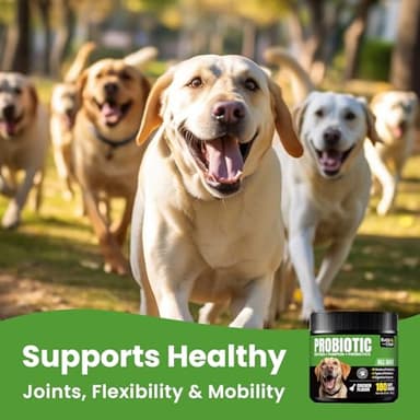 Probiotics for Dogs - Dog Probiotics with 5 Enzymes & 4 Prebiotics for Itchy Skin, Pet Probiotics lab for Digestion & Gut Support, Helps Diarrhea, Yeast Infection, Allergies & Immune System -180 Chews - Image 9
