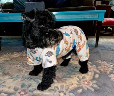 Dino Puppy Pajamas Dog Jumpsuit Dog Clothes, Cotton Pet Pajamas for Small Dogs Cats Kitten Soft Material Small Dogs Dog Onesie Dog Sweater Puppy Pjs Chihuahua Yorkie Onesie (Dino Pajamas, Medium) - Image 4