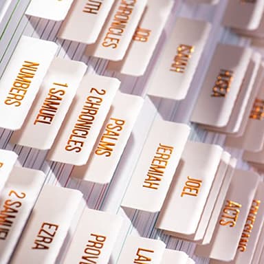 DiverseBee Laminated Bible Tabs (Copper Embossed Lettering), Bible Journaling Supplies, Bible Book Tabs, Christian Gift, 73 Bible Tabs for Women and Men, Includes 4 Blank Tabs (Alabaster) - Image 3