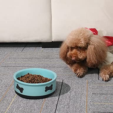 Sweejar Ceramic Dog Bowls with Bone Pattern, Dog Food Dish for Small Dogs, Porcelain Pet Bowl for Water 16 Fl Oz (New Turquoise) - Image 2