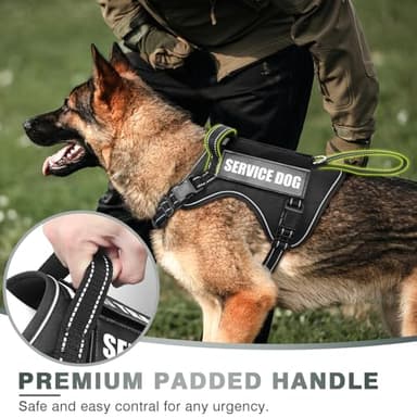 WINSEE Tactical Dog Harness, No Pull Dog Harness for Medium Large Dogs with Handle & Molle, Military Service Dog Vest Harness in Training Pet Harness for Small Dogs - Image 3