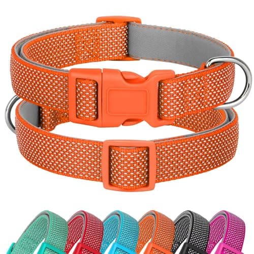 Didog Soft Padded Dog Collar with Quick Released Buckle, Reflective Dog Collar for Large Dogs, Adjustable Nylon Pet Collar for Daily Walk, Orange, L - Image 1