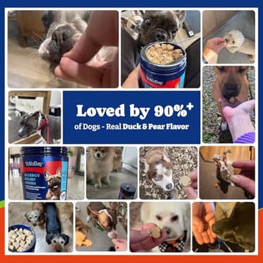 YoYoBay Dog Allergy Relief Chews – 180 Soft Chews, Duck & Pear Flavor - Immune Support & Itch Relief with Colostrum, Astragalus Root, 6-Strain Gut Health Blend - Image 2