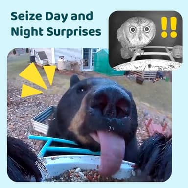 NETVUE by Birdfy Smart Bird Feeder with Camera, Bird Watching Camera, Auto Capture Motion Videos & Instant Notifications, Wireless Camera for Outdoor, Ideal Gift for Backyard Birder, Yellow - Image 8