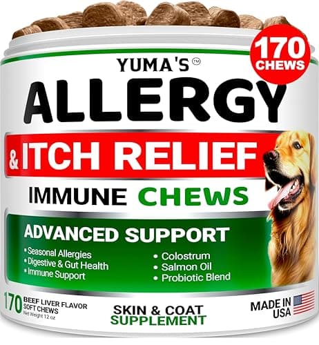 Dog Allergy Relief Chews - Dog Itching Skin Relief Treatment Pills - 170 Treats - Anti-Itch - Itchy and Paw Licking - Hot Spots - Omega 3 Fish Oil - Dry Skin & Coat Supplement - Beef Liver Flavor - Image 1