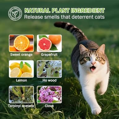 10Pack Cat Repellent Outdoor & Indoor: Natural Cat Deterrent Essential Oils Ball-Natural Extract Essential Oil, Anti Cat Scratch for Furniture, Keep Cats Off Yard Garden Lawn Plants Trash Can (10Pcs) - Image 2