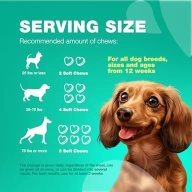 Probiotics for Dogs Gut Health, Digestion, Immunity, Yeast Balance, Itchy Skin, Allergies Support - Dog Probiotic Chews with Digestive Enzymes for Gut Flora- Soft Treats with Pumpkin and Yeast Powder - Image 8