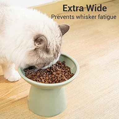 CEEFU Extra Wide Elevated Ceramic Cat Food Bowl - 6.2" Shallow Dish for Whisker Fatigue Relief, 5" Height for Easy Feeding, Lead & Cadmium Free, Durable Raised Cat Food Bowls, Sage Green - Image 3