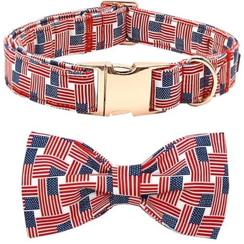 Bobo Rainbow Independence Day Dog Collar, Patriotic Pet Collar American Flag Collar Holiday Pet Collars Girl or Boy Adjustable Collar for Small Medium Large Dogs - Image 1