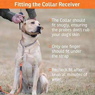 SportDOG YardTrainer 300 Remote Trainer - Off-Leash Safety Tool - Quick-Charge - Waterproof DryTek Technology - Compact E-Collar - Remote Dog Collar - 300-Yard Range - Image 4