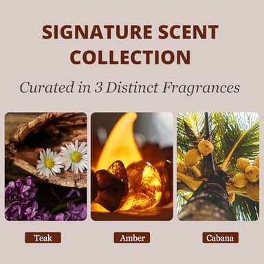 Car Air Freshener - Wood Air Freshener - Car Odor Eliminator for Visor Clip-Variety Scent Refill, Vehicle Scent Diffuser for Cabin, Truck & SUV - Pack of 3 (Teak-Amber-Cabana)-CLIP INCLUDED - Image 3