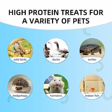 I LOVE WORMS Dried Black Soldier Fly Larvae (10lb), 100% Natural Non-GMO, Treat for Chickens, More Calcium Chicken Feed Than Mealworms - Image 6