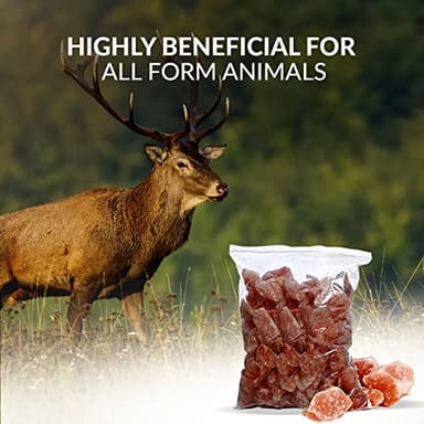 Himalayan Nature 100% Authentic Himalayan Pink Salt Chunks, 10 LBS, Animal Feed Salt Block, Plastic Bag of Salt Chunks for Deer, Horse & Animals, Pack of 1 - Image 7