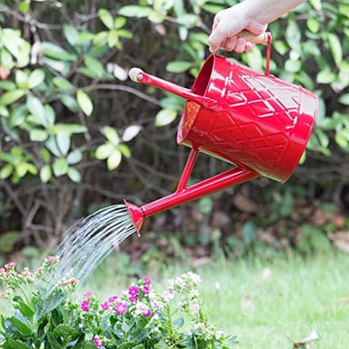 HORTICAN 1 Gallon Watering Can, Red, Galvanized, Metal Watering Can with Removable Spout, Perfect Water Can for Indoor & Outdoor Plants - Image 5