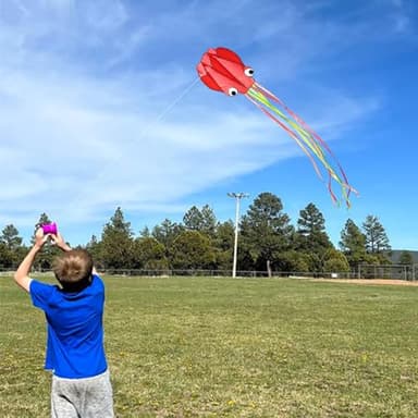 Simxkai 3 Pack Kites-Rainbow Delta Kite, Red Octopus, Blue Butterfly, Easy to Fly for Kids & Adults - Image 4