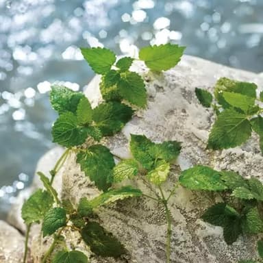 Dolce & Gabbana Light Blue Pour Homme, Eau De Toilette Spray, For Men - 40 ml / 1.3 fl.oz - Image 5