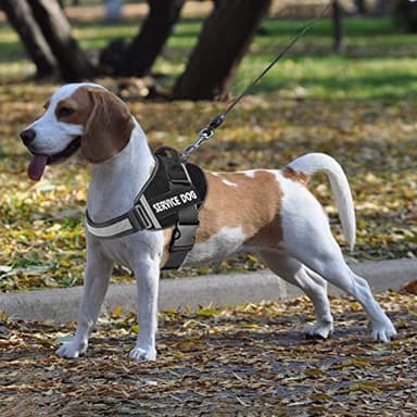 JSXD Dog Harness,No-Pull Service Dog Harness with Handle Adjustable Outdoor Pet Dog Vest 3M Reflective Nylon Material Vest for Breeds,Easy Control for Small Medium Large Dogs - Image 7