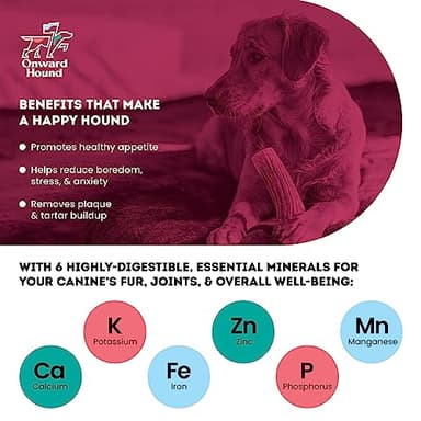 Onward Hound Elk Antlers for Dogs, 7"+ Large 1-Pack, Grade A Long Lasting Chew for Aggressive Chewers, Premium USA Naturally Shed Antler - Healthy, No Odor, Durable Dog Chew for 30-65lb Breeds - Image 2