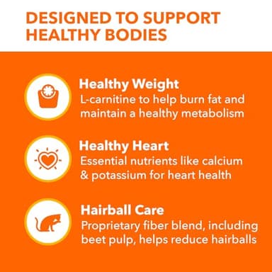 IAMS Proactive Health Indoor Weight Control & Hairball Care Adult Dry Cat Food, Chicken & Turkey Recipe, 16 lb. Bag - Image 4