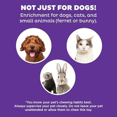 Outward Hound by Nina Ottosson Dog Hide N' Slide Treat Puzzle Enrichment Toy, Level 2 Intermediate, Tan, Composite - Image 5