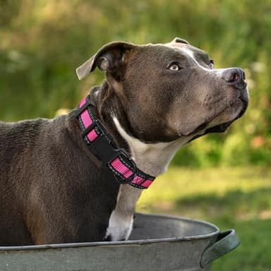 Mile High Life Dog Collar | Nylon Reflective Dog Collars | Light Weight Puppy Collars | Pink Dog Collars for Large Dogs (Pink, Large) - Image 7
