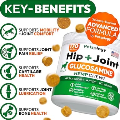 Hemp Hip and Joint Supplement for Dogs - Glucosamine for Dogs - 170 Mobility Support Chews - Advanced Joint Pain Relief Treats with Chondroitin, MSM, Turmeric - Large & Small Breeds - Made in USA - Image 2