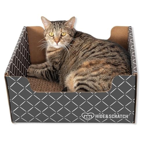 HIDE & SCRATCH Cardboard Cat Scratcher; Cat Scratcher Box and Bed with Refillable Double-Sided Cardboard Scratch Pad for Indoor Cats - Image 1