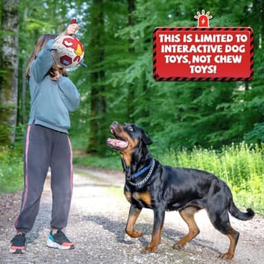 QDAN Dog Toys Soccer Ball with Straps - Durable Extra Large Dog Balls, Beach Pool Water Toys, Herding Balls (9 Inch) - Image 8