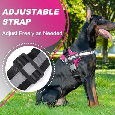 JUSTYEZI Essential Dog Harness with 3 Leash Clips - No-Pull, Adjustable, Comfortable Pet Vest Harness for Small to Large Dogs - Easy On, No Choke, Reflective, Padded Harness for Walking and Training - Image 5