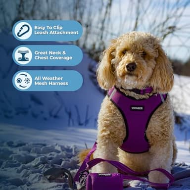 Best Pet Supplies Voyager Step-in Air Harness - All Weather Mesh, Reflective, No Pull Harness for Dogs, Cats - Secure with Hook & Loop Fastener, Buckle, Double D-Rings - Purple/Black Trim, XXXS - Image 3