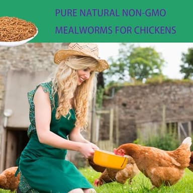 KAYHEN Dried Mealworms for Chickens 5LB Pure Natural Non-GMO High Protein Feed Meal Worms for Laying Hens Wild Birds - Image 3