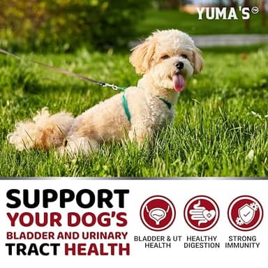 Dog UTI Treatment - 170 Treats - Cranberry Supplement for Dogs - Bladder Control - Urinary Tract Infection Treatment - UTI Medicine Multivitamin - Vitamins and Supplements - Made in USA - Image 4