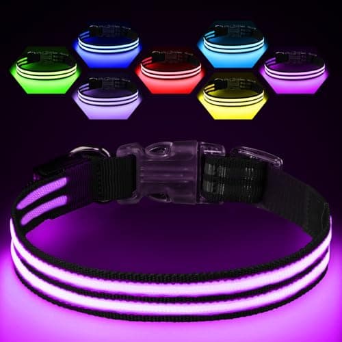 Light Up Dog Collar Rechargable,Reflective LED Collars for Small Medium Large Dogs,Lighted Dog Collars Lights for Night Walking-Waterproof,Black,S - Image 1