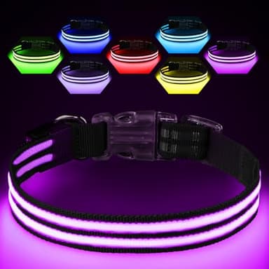 Light Up Dog Collar Rechargable,Reflective LED Collars for Small Medium Large Dogs,Lighted Dog Collars Lights for Night Walking-Waterproof,Black,S - Image 1