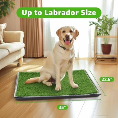 Dog Grass Large Potty Patch, Dog Litter Boxes Artificial Grass Bathroom Turf for Pet Training, Washable Puppy Pee Pad, Perfect Indoor/Outdoor Portable Potty Pet Loo (Tray system-35"X22.6") - Image 3