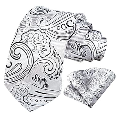 HISDERN Ties for Men Paisley Tie Handkerchief Set Woven Classic Floral Mens Tie Pocket Square Tuxedo Wedding Necktie White Silver - Image 2