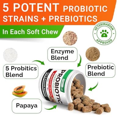 STRELLALAB Dog Probiotics Chews for Digestive Health & Gut Support with Yeast and Enzymes - Anti Gas, Diarrhea and Upset Stomach Immune Supplement - Digestion Treats with Fiber (120Ct, Chicken) - Image 3