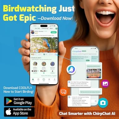 Smart Bird Feeder with Camera, 2K HD Birdwatching Camera with AI Identify Bird Species & Solar Panel, Auto Video Capture & Instant Notifications, Ideal Gifts for Lover, Deep Blue - Image 3