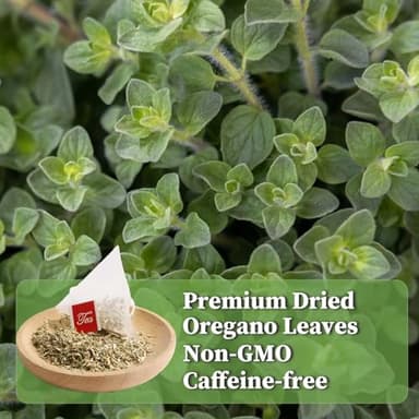 FullChea - Oregano Tea Bags, 30 Teabags, 2g/Bag - Premium Oregano Leaves - Non-GMO - Caffeine-Free - Support Digestion & Boost Immunity - Image 3
