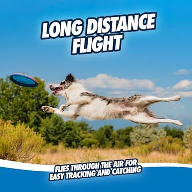 Chuckit! Paraflight Flying Disc Dog Toy - Water Floating Flyer - Durable Nylon Construction with Soft Rubber Edges - For Medium and Large Dogs - Size Large - 9.75" L x 9.75" W - Pack of 1 - Image 6