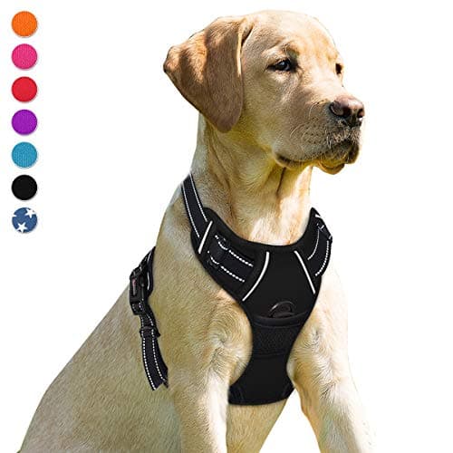 BARKBAY No Pull Dog Harness Front Clip Heavy Duty Reflective Easy Control Handle for Large Dog Walking(Black,M) - Image 1