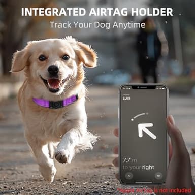 Airtag Dog Collar - 100% Waterproof Air tag Dog Collar Holder for Apple AirTag, Reflective, Soft Padded, Everlasting, GPS Dog Collar for Small Medium Large Dogs (Purple, M) - Image 4
