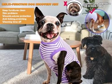 Sychien Dog Recovery Suit Medium,Female Spay Male Surgery Recovery Shirt,Soft Combed Cotton Surgical Puppy Suit,M Purple-White Striped - Image 2