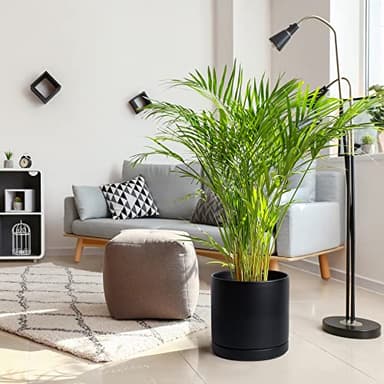 D'vine Dev 12 Inch Ceramic Planter Pot with Drainage Hole and Saucer, Indoor Cylinder Round Planter Pot, Black, 94-O-F-2 - Image 2