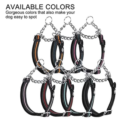 JIPIMON Martingale Collar for Dogs, Reflective Stainless Steel Chain Safety Adjustable Martingale Collar for Small Medium Large Dogs (Medium, No Buckle Red) - Image 4
